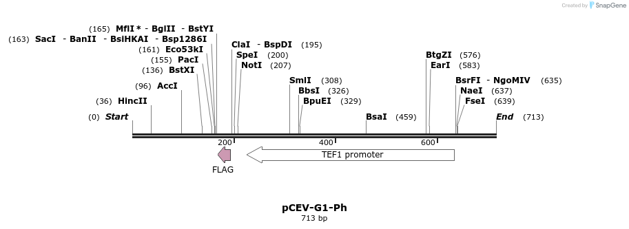 75430_map