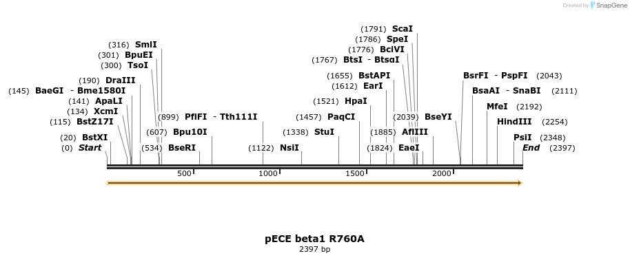75443_map