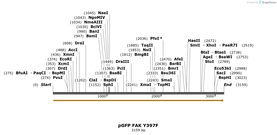 75448_map