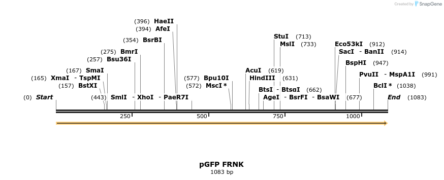75450_map