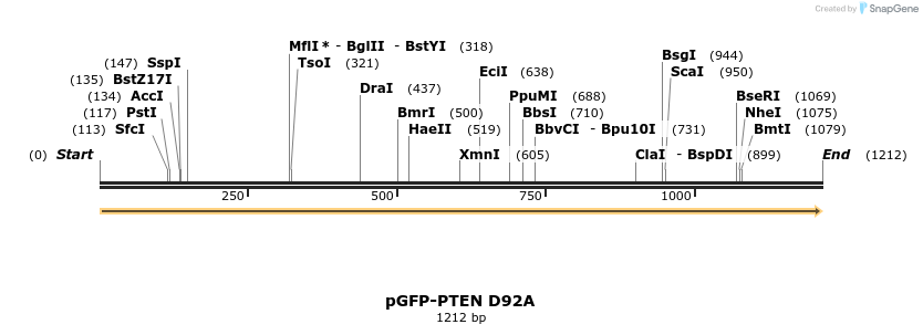 75453_map