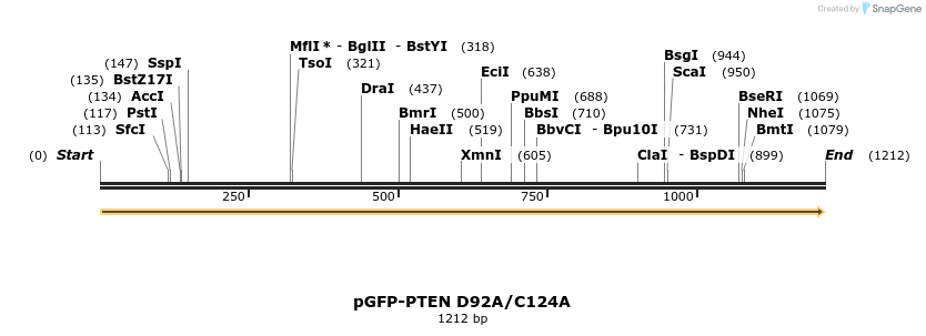 75454_map
