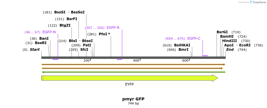 75460_map