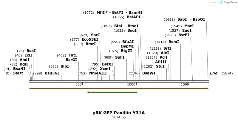 75462_map