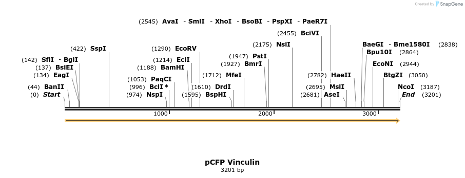 75476_map