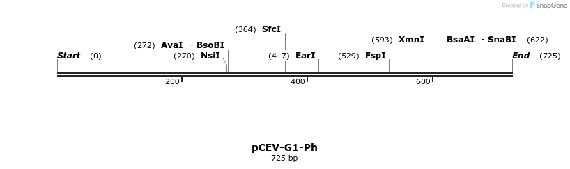 75477_map