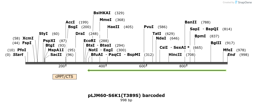 75478_map