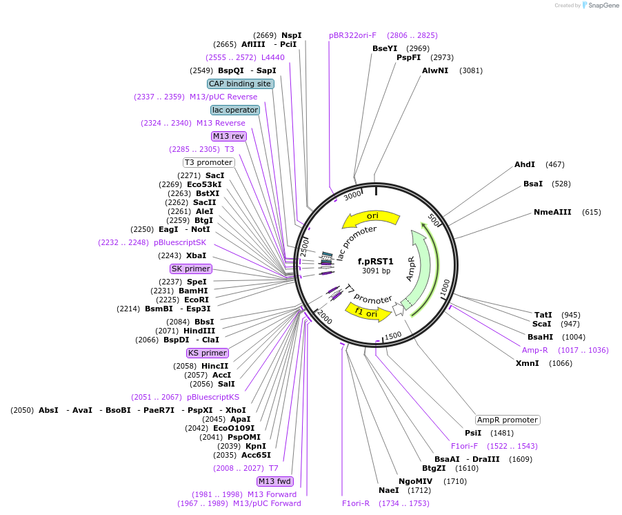 75480_map