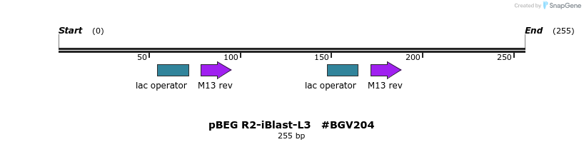 75481_map
