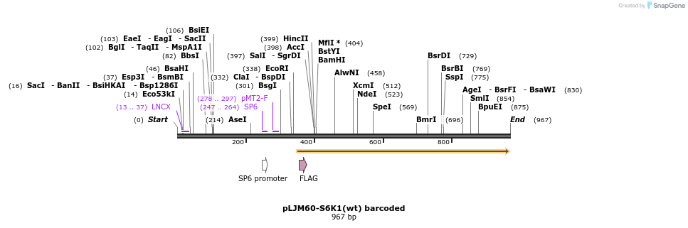 75482_map