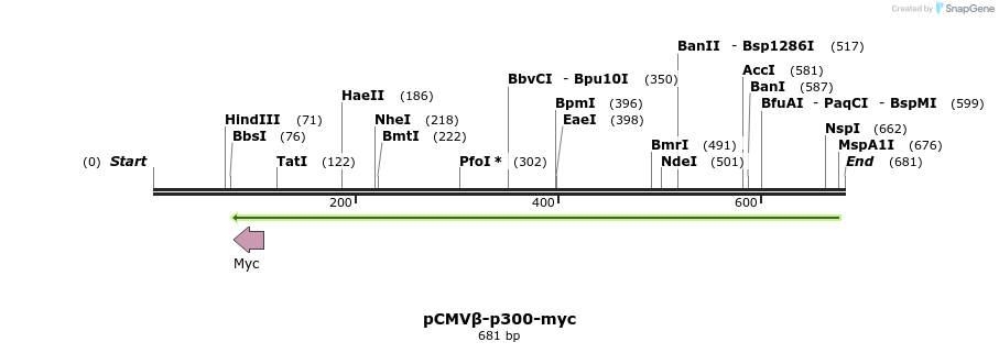 75485_map