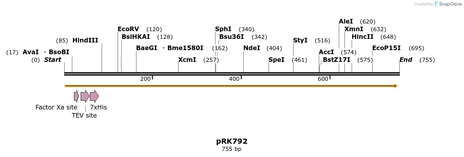 75496_map