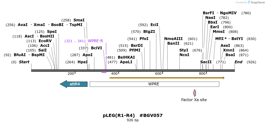 75502_map