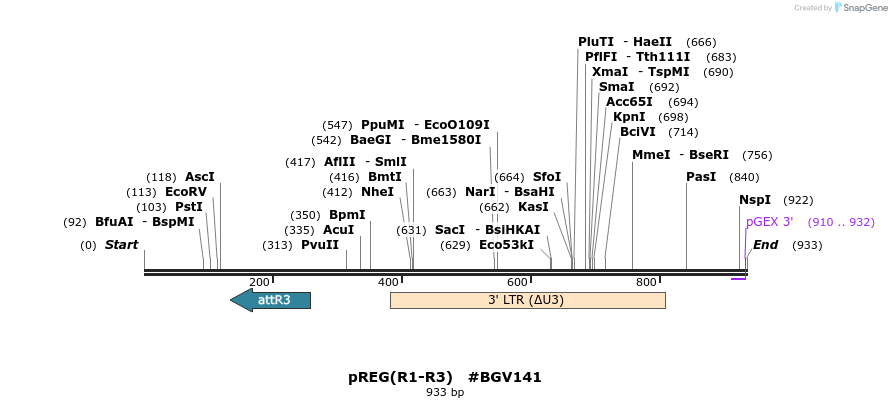 75503_map