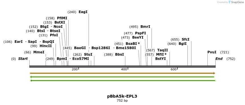 75505_map