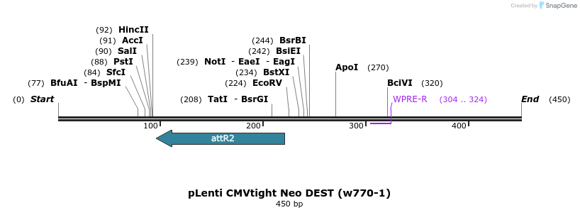 75511_map