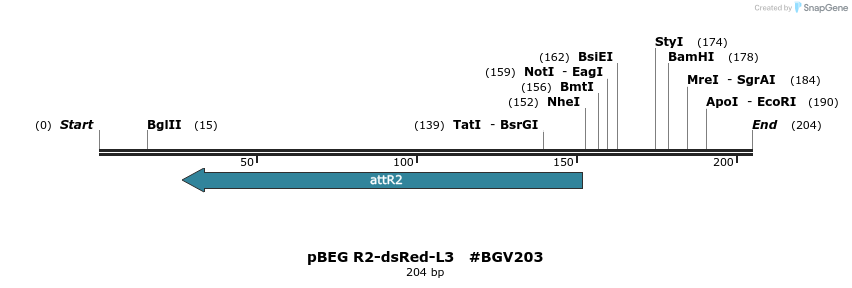 75515_map