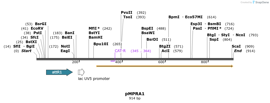 75516_map