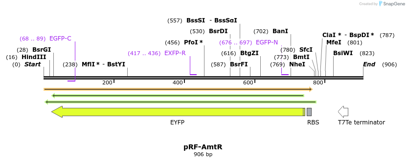 75518_map