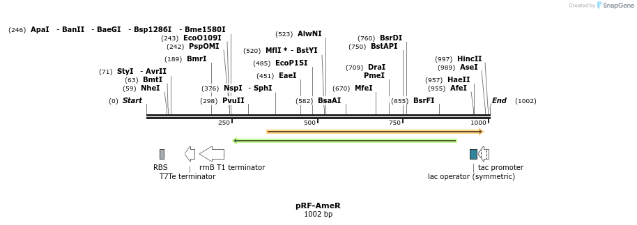 75520_map