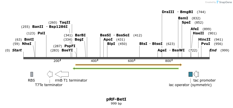 75523_map