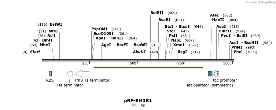 75524_map
