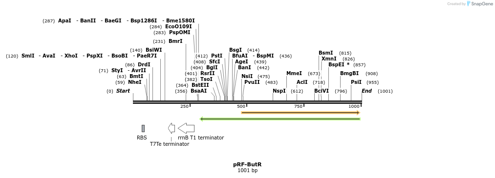 75527_map