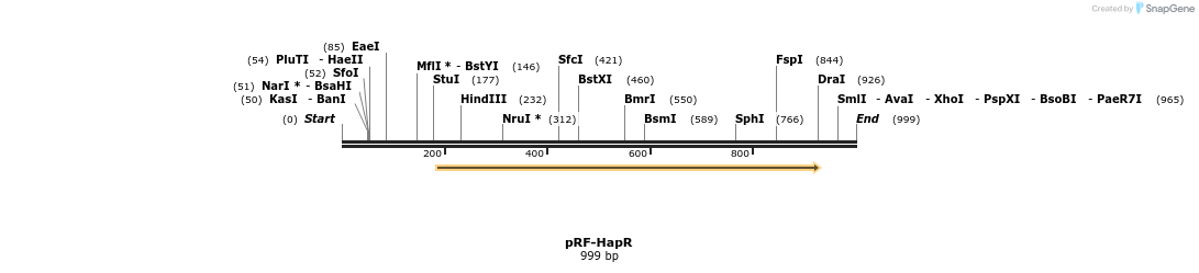 75528_map
