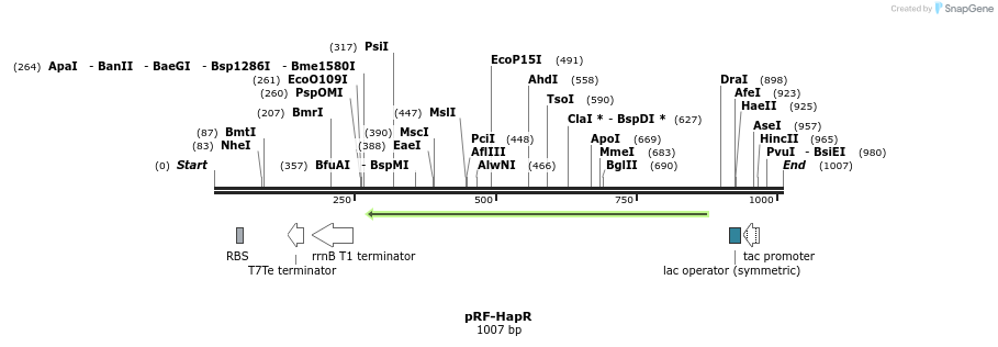75529_map