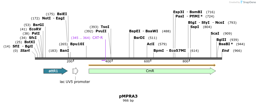 75537_map