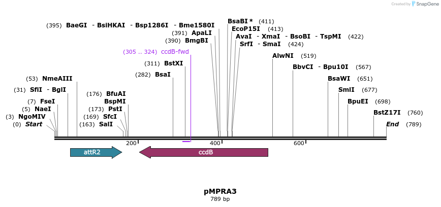 75540_map