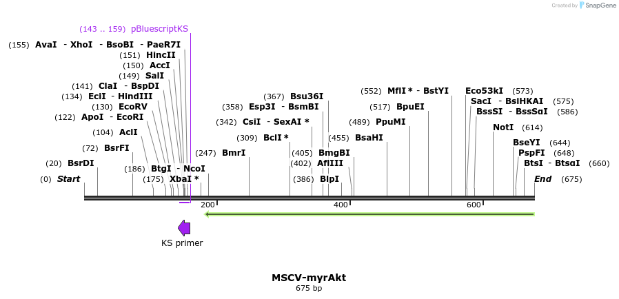 75551_map
