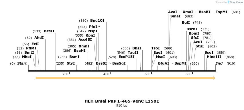 75552_map