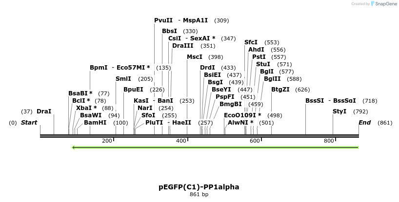 75555_map