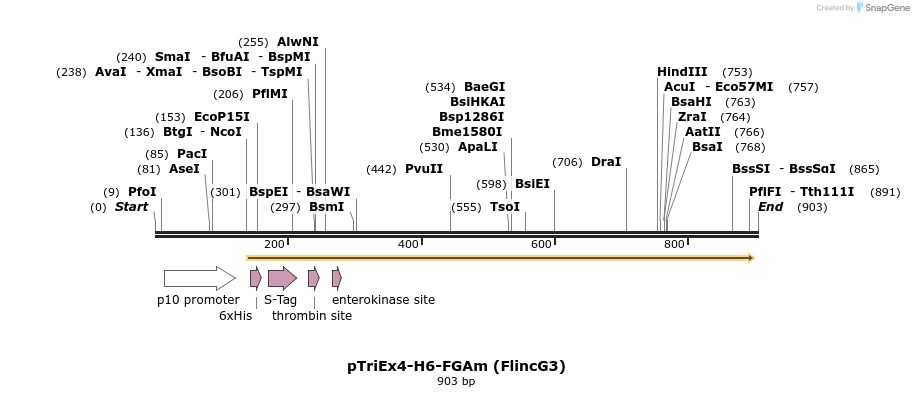 75556_map
