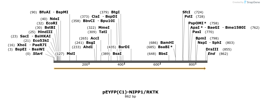 75557_map