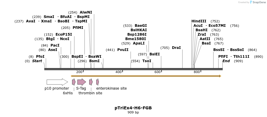 75559_map
