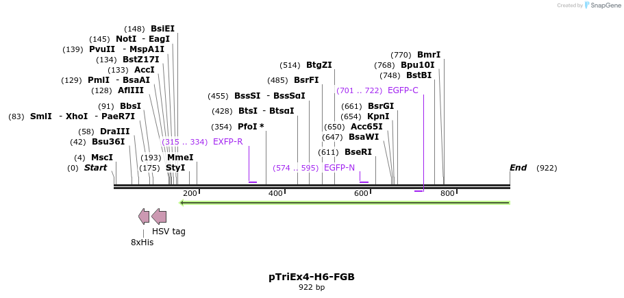75561_map