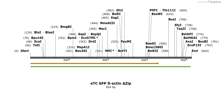 75563_map