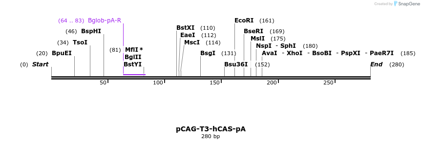 75565_map