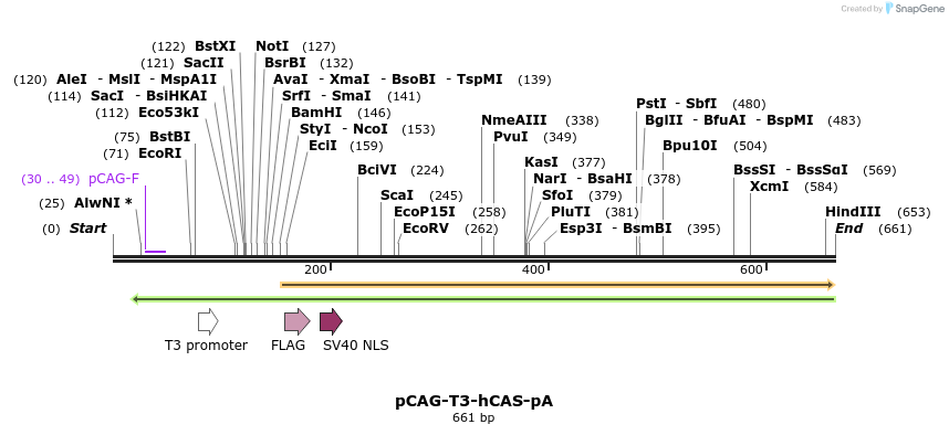 75567_map