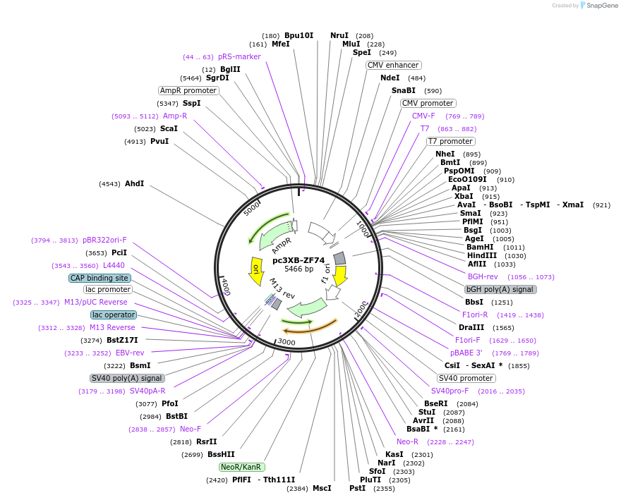 7557_map