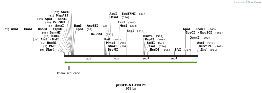 75572_map