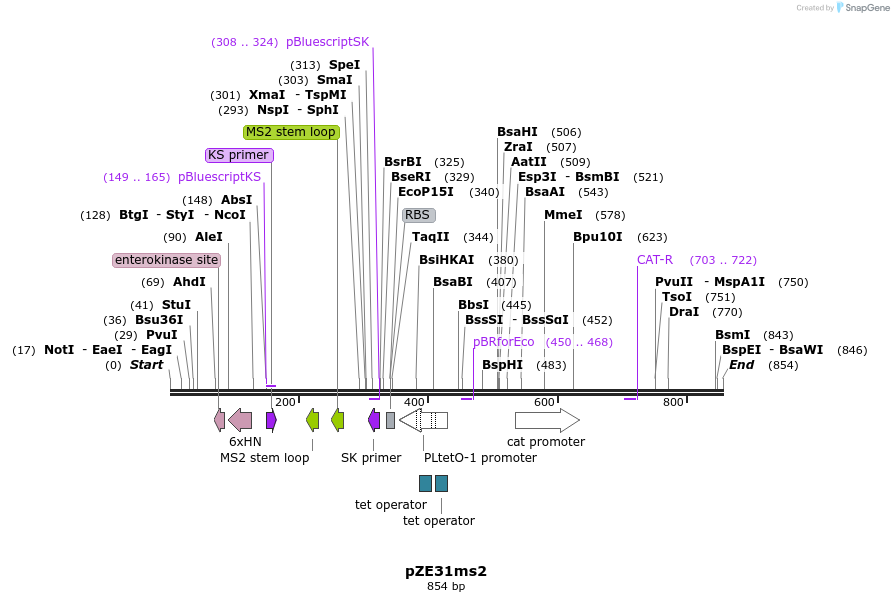 75574_map