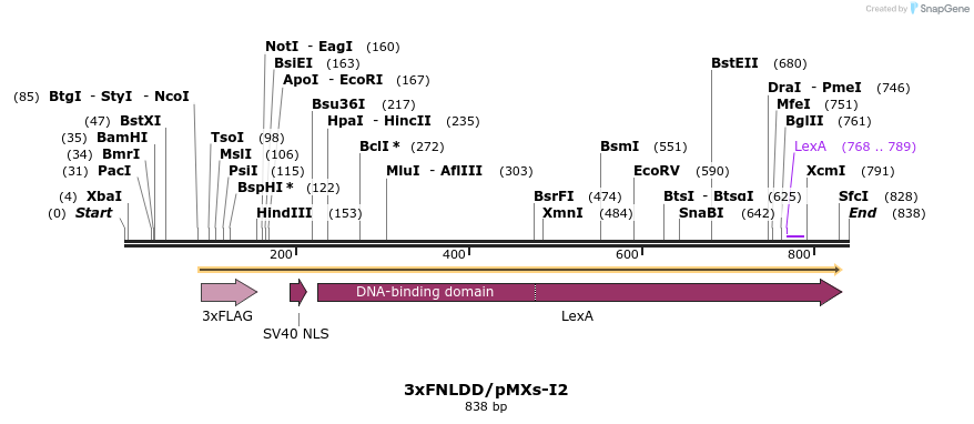 75576_map