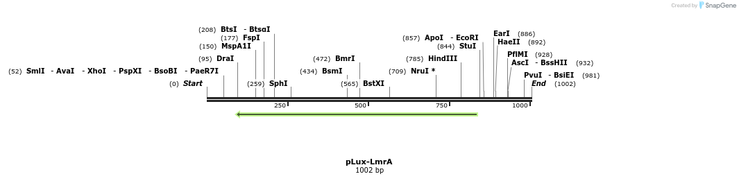 75588_map