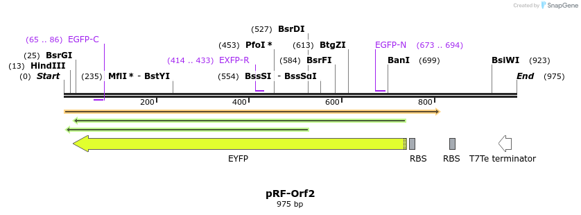75593_map