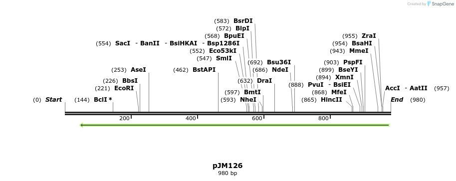 75600_map