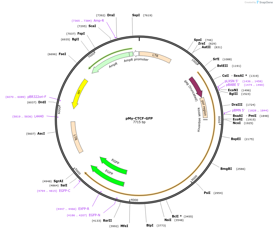 75602_map
