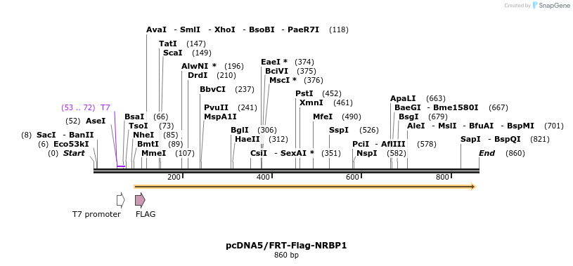 75604_map